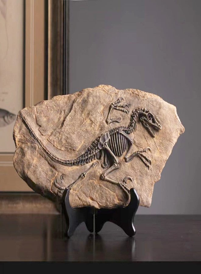 FUNSXBUG Resin Velociraptor Dinosaur Skeleton Fossil Statue Figurines Sculpture Collectibles Home Office Desktop Display Decoration (Dinosaur 1) - Image 3